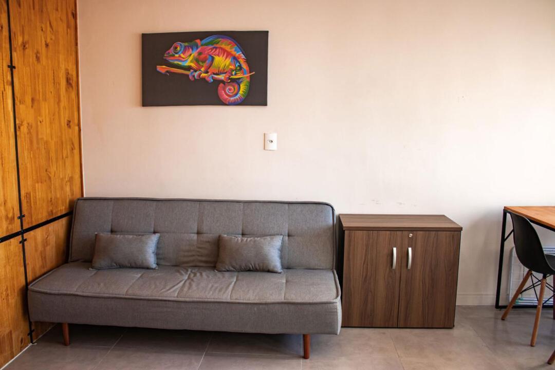 Chameleon Studio Com Wifi Em Sc Florianópolis